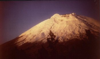 Mt. Cotopaxi - Andes of Ecuador
