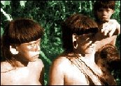 Ecuador: the Amazon jungle